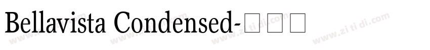 Bellavista Condensed字体转换